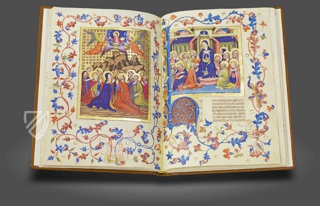 Breviary of Martin of Aragon – Reales Sitios – MSS Rothschild 2529 – Bibliothèque nationale de France (Paris, France)