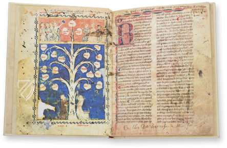 Ramon Llull's Tree of the Philosophy of Love – Millennium Liber – F-129 – Biblioteca Diocesana de Mallorca (Palma de Mallorca, Spain)