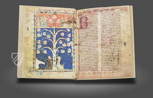 Ramon Llull's Tree of the Philosophy of Love – Millennium Liber – F-129 – Biblioteca Diocesana de Mallorca (Palma de Mallorca, Spain)