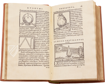 Thesaurus de Remediis Secretis - Pars Secunda – Circulo Cientifico – Academia de Farmacia de Castilla y León (Salamanca, Spain)