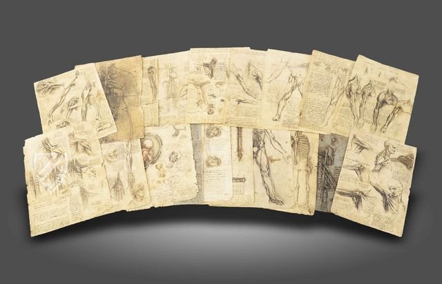 Corpus of the Anatomical Studies (Collection) – Collezione Apocrifa Da Vinci – Royal Library at Windsor Castle (Windsor, United Kingdom)