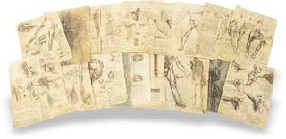 Corpus of the Anatomical Studies (Collection) – Collezione Apocrifa Da Vinci – Royal Library at Windsor Castle (Windsor, United Kingdom)