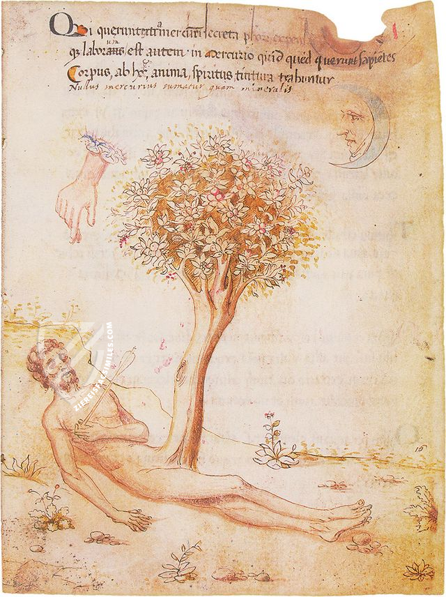 Miscellany of Alchemy β Ediciones Grial β MS Ashburnham 1166 β Biblioteca Medicea Laurenziana (Florence, Italy) Miscellany of Alchemy β Ediciones Grial β MS Ashburnham 1166 β Biblioteca Medicea Laurenziana (Florence, Italy)