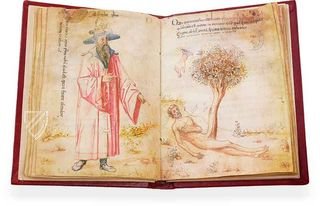 Miscellany of Alchemy – Ediciones Grial – MS Ashburnham 1166 – Biblioteca Medicea Laurenziana (Florence, Italy)