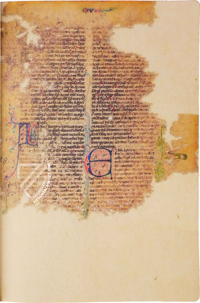 Bible of Marco Polo β Istituto dell'Enciclopedia Italiana - Treccani β Pluteo 3, capsula 1 β Biblioteca Medicea Laurenziana (Florence, Italy) Bible of Marco Polo β Istituto dell'Enciclopedia Italiana - Treccani β Pluteo 3, capsula 1 β Biblioteca Medicea Laurenziana (Florence, Italy)