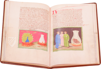 Aurora Consurgens – Millennium Liber – MS Ger. Qu. 848 – Staatsbibliothek Preussischer Kulturbesitz (Berlin, Germany)
