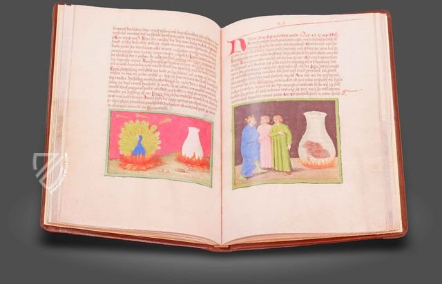 Aurora Consurgens – Millennium Liber – MS Ger. Qu. 848 – Staatsbibliothek Preussischer Kulturbesitz (Berlin, Germany)