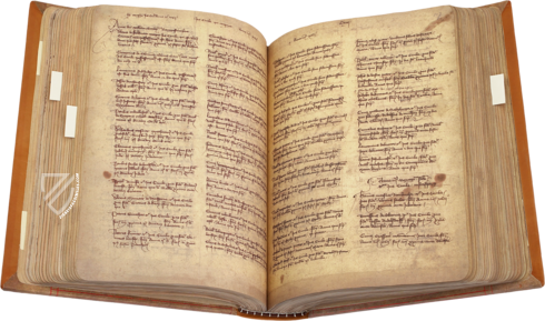 Liber Vetustissimus Facsimile Edition