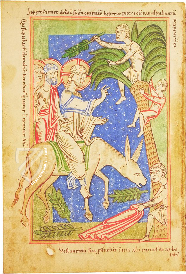 Saint Hildegard's Prayer Book β Reichert Verlag β Clm 935 β Bayerische Staatsbibliothek (Munich, Germany) Saint Hildegard's Prayer Book β Reichert Verlag β Clm 935 β Bayerische Staatsbibliothek (Munich, Germany)