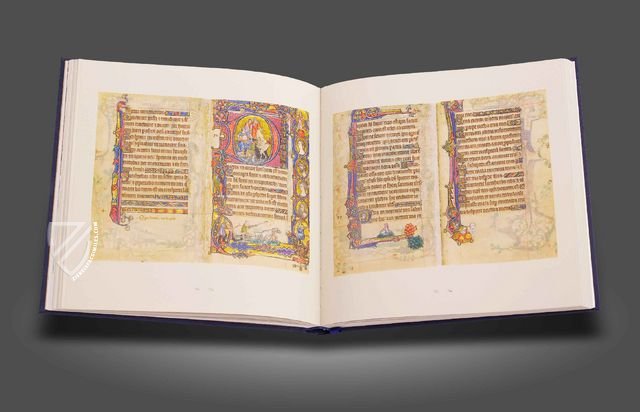 Macclesfield Psalter – Thames and Hudson – MS 1–2005 – Fitzwilliam Museum (Cambridge, United Kingdom)