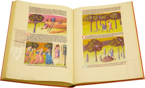 Liber de natura rerum - Codex C-67 – Universidad de Granada – C-67 – Biblioteca Universitaria de Granada (Granada, Spain)