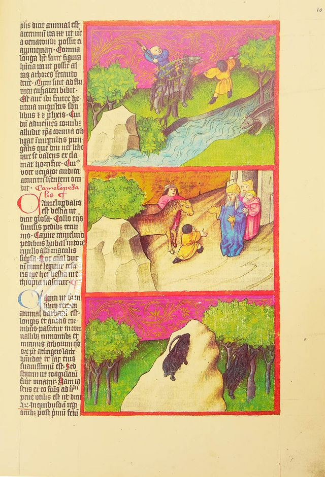 Liber de natura rerum - Codex C-67 β Universidad de Granada β C-67 β Biblioteca Universitaria de Granada (Granada, Spain) Liber de natura rerum - Codex C-67 β Universidad de Granada β C-67 β Biblioteca Universitaria de Granada (Granada, Spain)