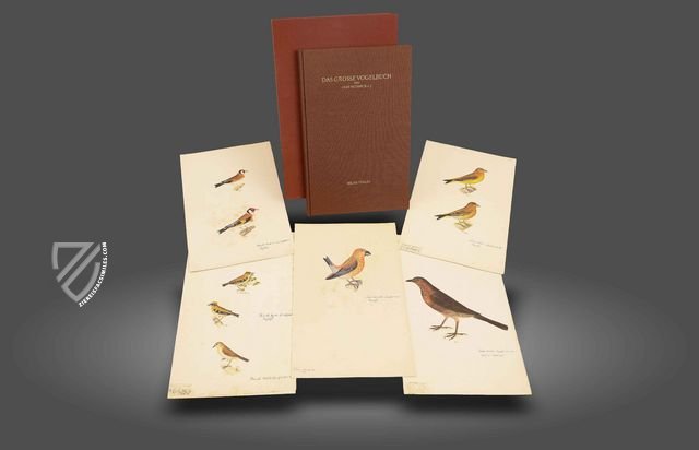 The Great Bird Book of Olof Rudbeck the Younger Facsimile Edition
