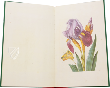 New Book of Flowers – Prestel Verlag – Sächsische Landesbibliothek - Staats - und Universitätsbibliothek (Dresden, Germany)