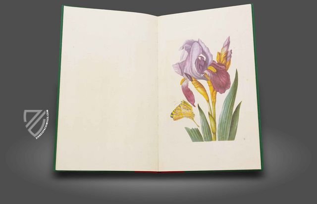 New Book of Flowers – Prestel Verlag – Sächsische Landesbibliothek - Staats - und Universitätsbibliothek (Dresden, Germany)