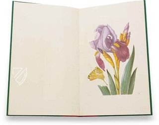 New Book of Flowers – Prestel Verlag – Sächsische Landesbibliothek - Staats - und Universitätsbibliothek (Dresden, Germany)