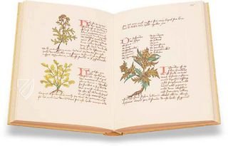 Book of Simple Medicines - Codex Bruxellensis – De Schutter – Codex Bruxellensis IV. 1024 – Bibliothèque Royale de Belgique (Brussels, Belgium)