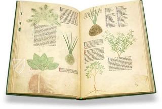 Egerton Tractatus de Herbis – British Library – MS Egerton 747 – British Library (London, United Kingdom)