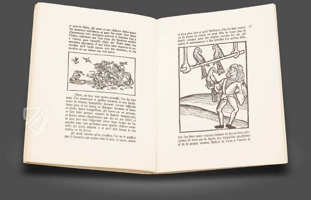 The Parisian Household Book – Chavane Verlag – 