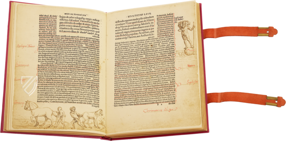 Erasmi Roterodami Encomium Moriae – Henning Oppermann – Kunstmuseum Basel (Basel, Switzerland)