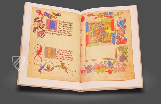 Model Book of Stephan Schriber – Reichert Verlag – Cod. icon. 420 – Bayerische Staatsbibliothek (Munich, Germany) Model Book of Stephan Schriber – Reichert Verlag – Cod. icon. 420 – Bayerische Staatsbibliothek (Munich, Germany)