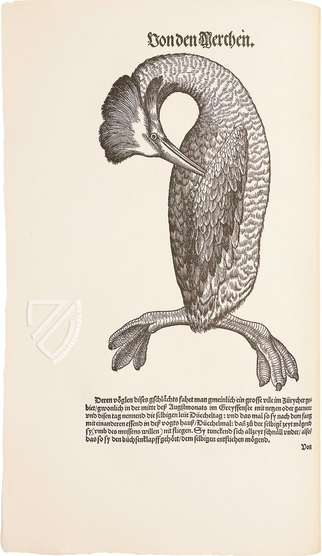 Vogelbuch. Faksimile nach der Ausgabe bei Froschauer, Zürich 1557. (Luxury Edition)