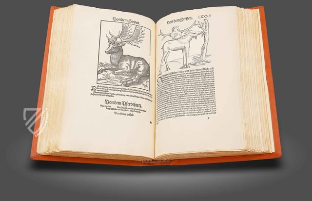 Conrad Gessner: Thierbuch – Josef Stocker-Schmid – NS 4,2 – Zentralbibliothek Zürich (Zürich, Switzerland)