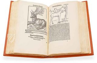 Conrad Gessner: Thierbuch – Josef Stocker-Schmid – NS 4,2 – Zentralbibliothek Zürich (Zürich, Switzerland)
