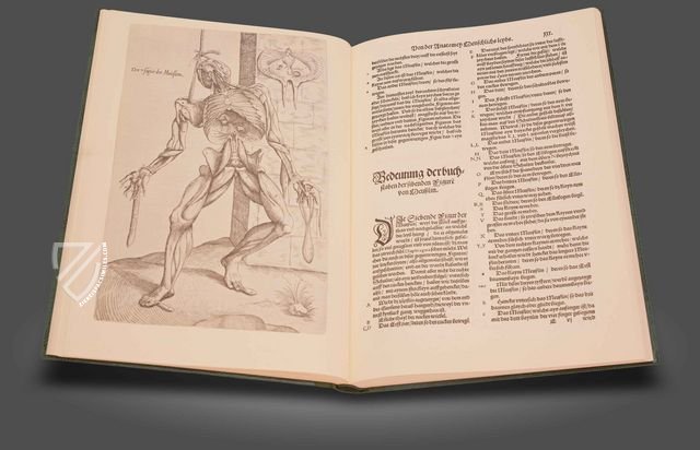 Andreas Vesalius: Anatomia - Deutsch