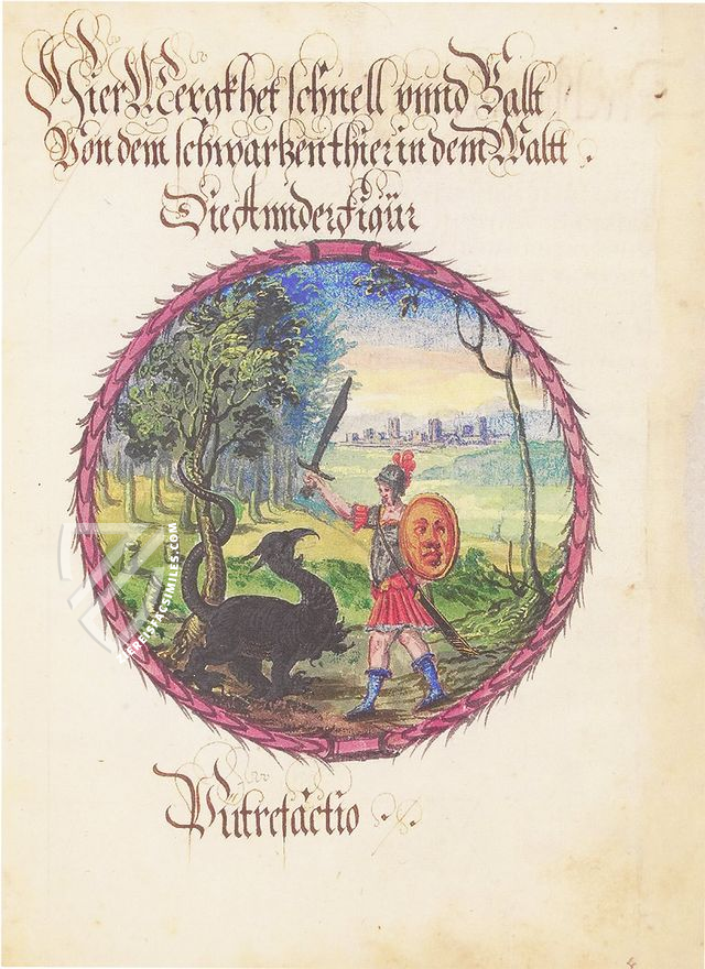 Alchemical Didactic Poem from 1556 –  – Ms P 2177 – Zentralbibliothek Zürich (Zürich, Switzerland)