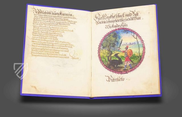 Alchemical Didactic Poem from 1556 –  – Ms P 2177 – Zentralbibliothek Zürich (Zürich, Switzerland)