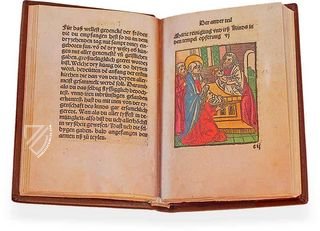 The Pilgrimage of the Blessed Virgin Mary – Tuliba Collection – Tuliba Collection