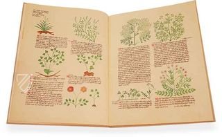 The Alsace circa instans - De simplici medicina – Sandoz – Ms. K. II. 11 – Universitätsbibliothek Basel (Basel, Switzerland)