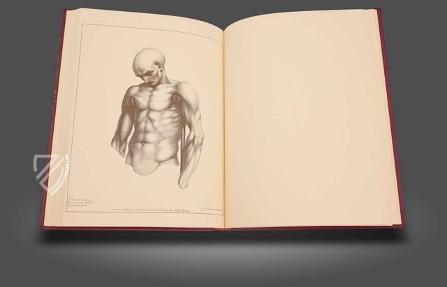 John Pugh: Treatise on the Science of Muscular Action