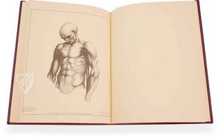 John Pugh: Treatise on the Science of Muscular Action