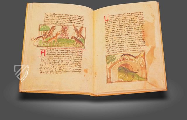 Udine Aesop – Casamassima Libri – Cod. Bartolini 83 (olim 34) – Biblioteca Arcivescovile e Bartoliniana (Udine, Italy) Udine Aesop – Casamassima Libri – Cod. Bartolini 83 (olim 34) – Biblioteca Arcivescovile e Bartoliniana (Udine, Italy)