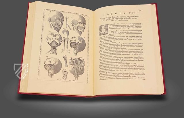 Eustachius: Tabulae Anatomicae – Editions Medicina Rara – Württembergische Landesbibliothek (Stuttgart, Germany) Eustachius: Tabulae Anatomicae – Editions Medicina Rara – Württembergische Landesbibliothek (Stuttgart, Germany)
