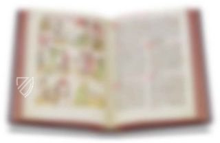 Durham Gospels Facsimile Edition