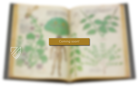 Chirurgia – Editions Medicina Rara – Codex Sloane 1977 – British Library (London, United Kingdom)