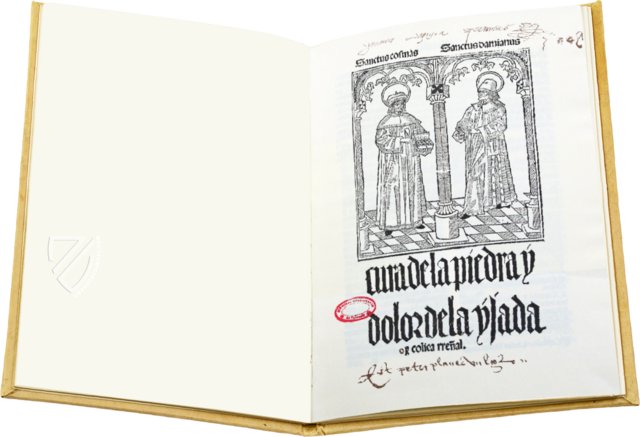 Cura de la Piedra y Dolor de la Ijada y Colica Rrenal – Vicent Garcia Editores – Inc. 205 – Biblioteca Historicomèdica de la Universitat de València (Valencia, Spain)