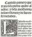 Cura de la Piedra y Dolor de la Ijada y Colica Rrenal – Vicent Garcia Editores – Inc. 205 – Biblioteca Historicomèdica de la Universitat de València (Valencia, Spain)