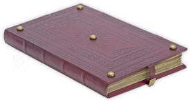 Dante Alighieri - Divine Comedy - Dante Gradenighiano – Imago – ms. SC-MS. 1162 (D II 41) – Biblioteca Civica Gambalunga (Rimini, Italy)