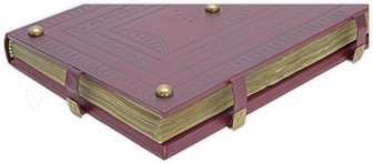 Dante Alighieri - Divine Comedy - Dante Gradenighiano – Imago – ms. SC-MS. 1162 (D II 41) – Biblioteca Civica Gambalunga (Rimini, Italy)