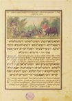 Darmstadt Pessach Haggadah – Akademische Druck- u. Verlagsanstalt (ADEVA) – Codex orientalis 7 – Hessische Landes- und Hochschulbibliothek (Darmstadt, Germany)