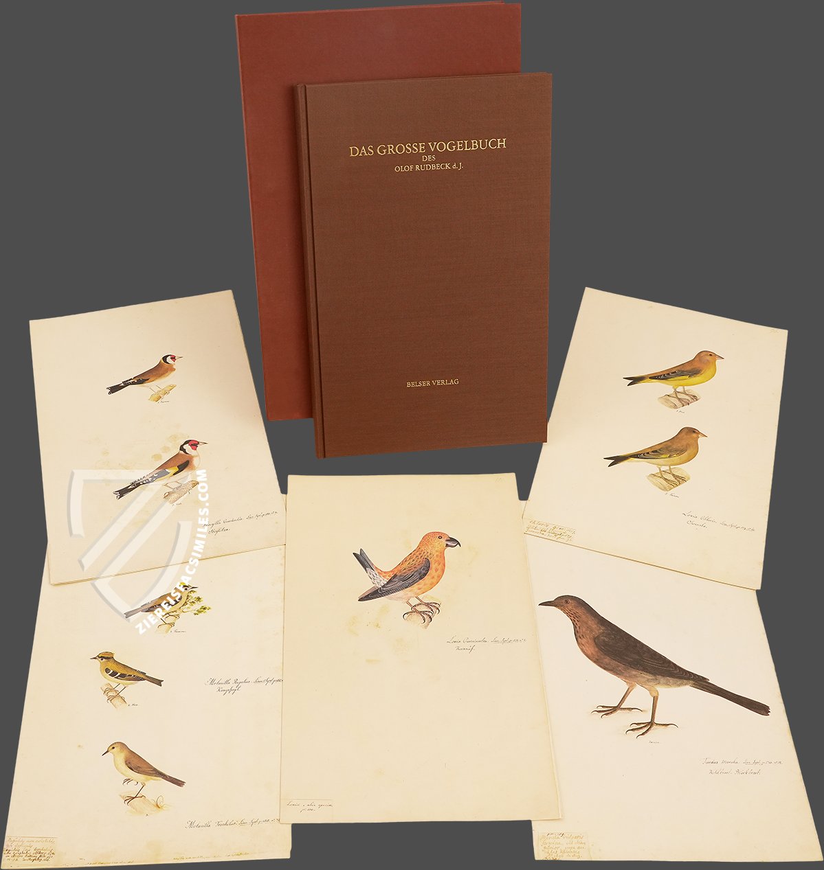 The Great Bird Book of Olof Rudbeck the Younger - Ziereis Facsimiles