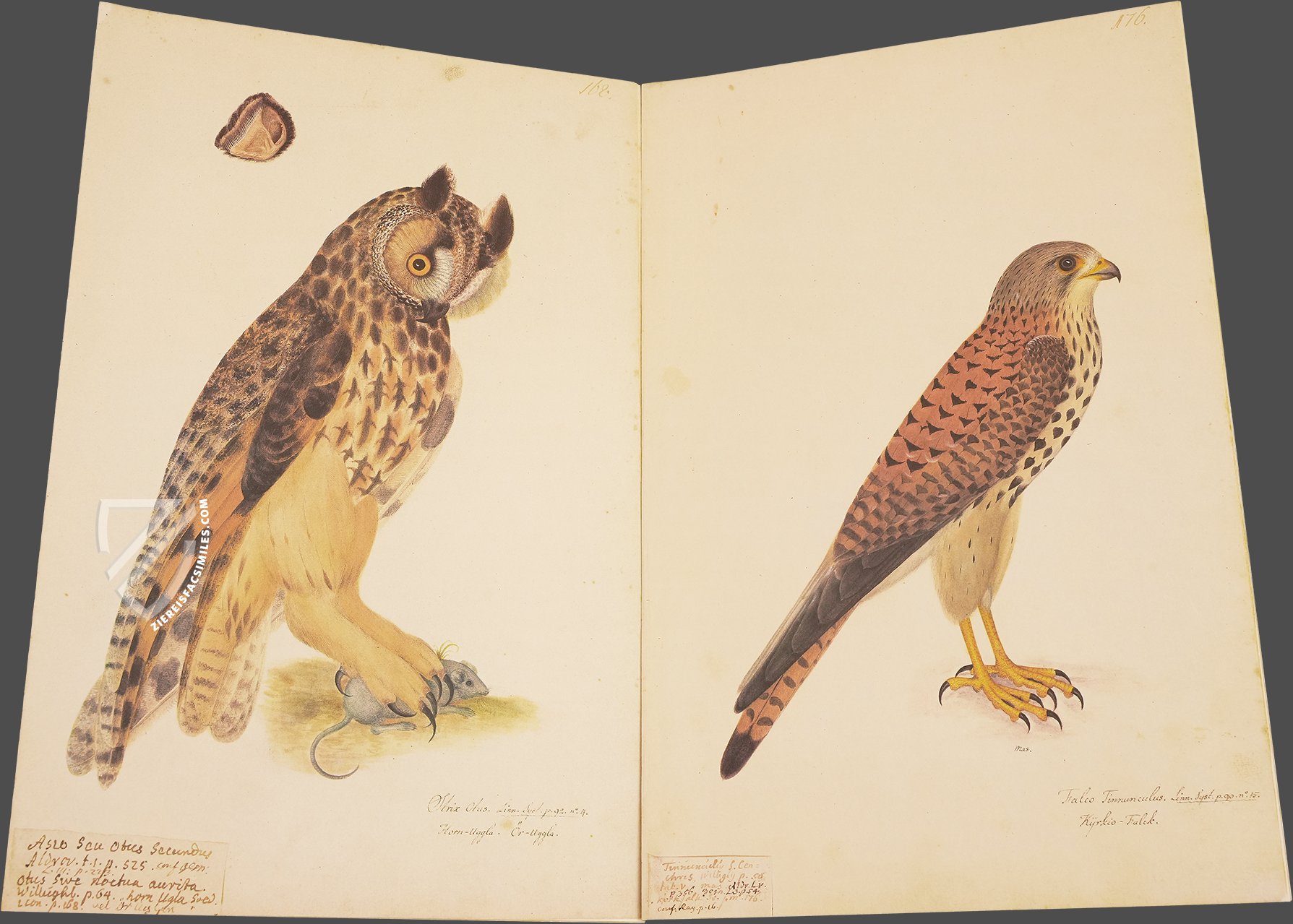 The Great Bird Book of Olof Rudbeck the Younger - Ziereis Facsimiles