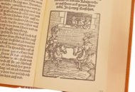 Das Weimarer Liederbuch. Schätzbare Sammlung alter Volkslieder.