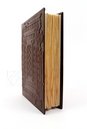 De Balneis Puteoli - Pietro da Eboli – BH Ms. 838 (G. 2396) – Biblioteca General e Histórica de la Universidad (Valencia, Spain) Facsimile Edition