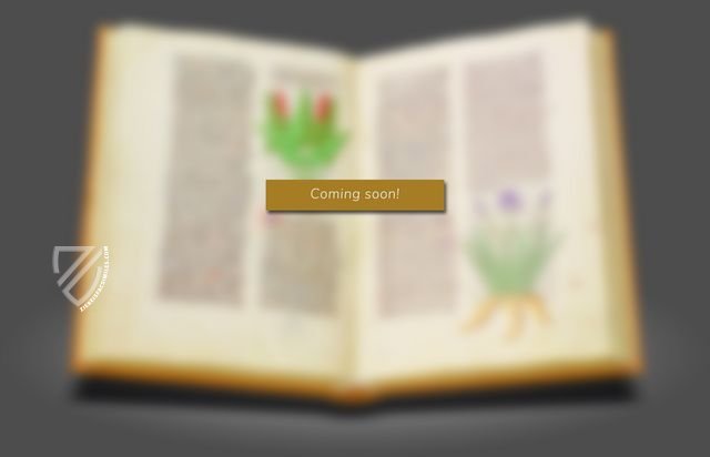 De Divina Proportione - Geneva Codex – ms. Langues Etrangères 210 – Bibliothèque de Genève (Geneva, Switzerland) Facsimile Edition
