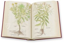 De Historia Stirpium - Leonhart Fuchs – Aboca Museum – Biblioteca Antiqua di Aboca Museum (Sansepolcro, Italy)